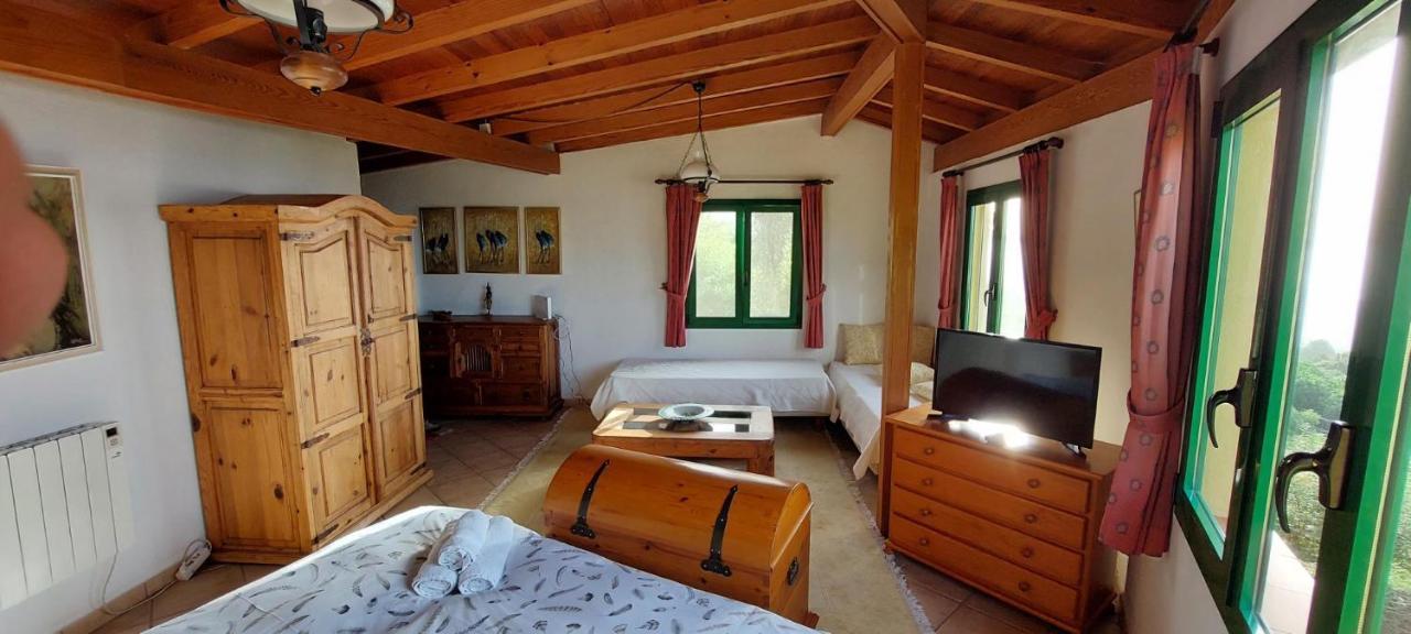 Casa En Finca Ecologica - Wifi La Orotava Buitenkant foto